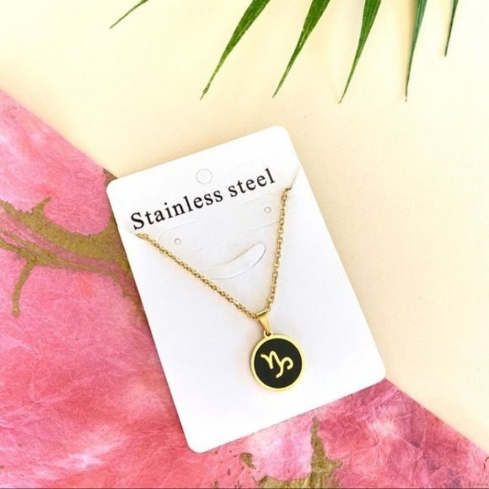 NWT Capricorn Zodiac Sign Charm Stainless Steel Necklace